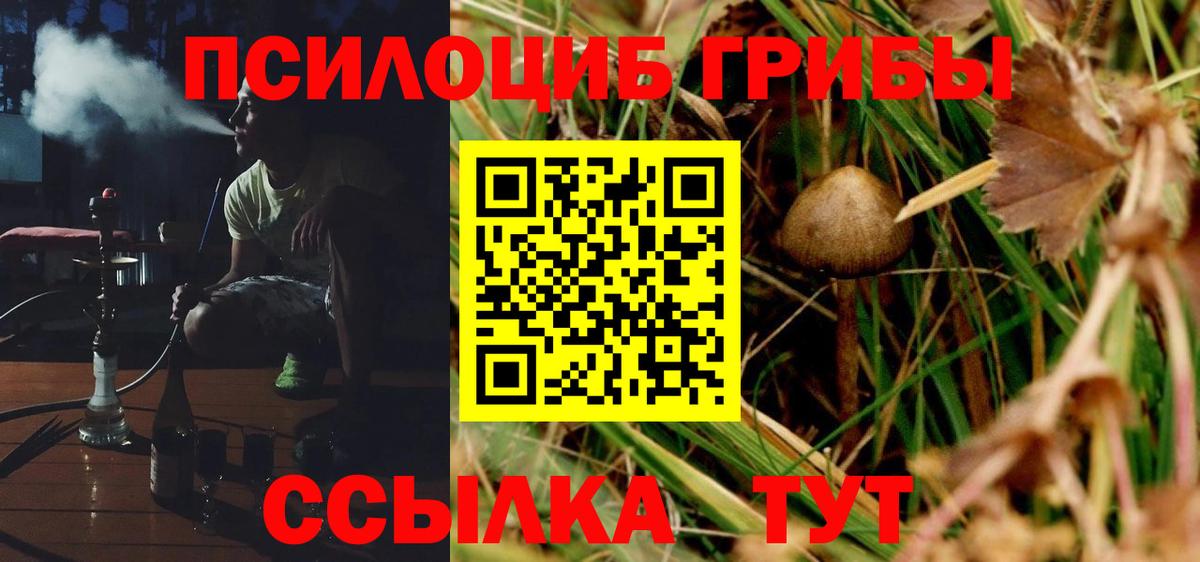 Галлюциногенные грибы MAGIC MUSHROOMS  Галлюциногенные грибы мицелий  сколько стоит  Лесной  Вход с VPN 
