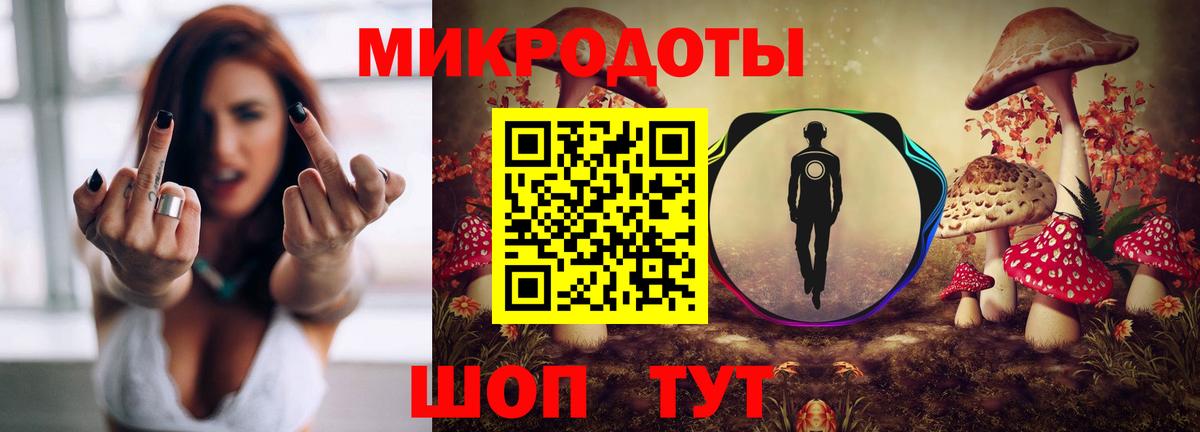 Псилоцибиновые грибы мицелий Лесной